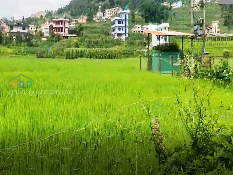 Land on Sale at Banepa