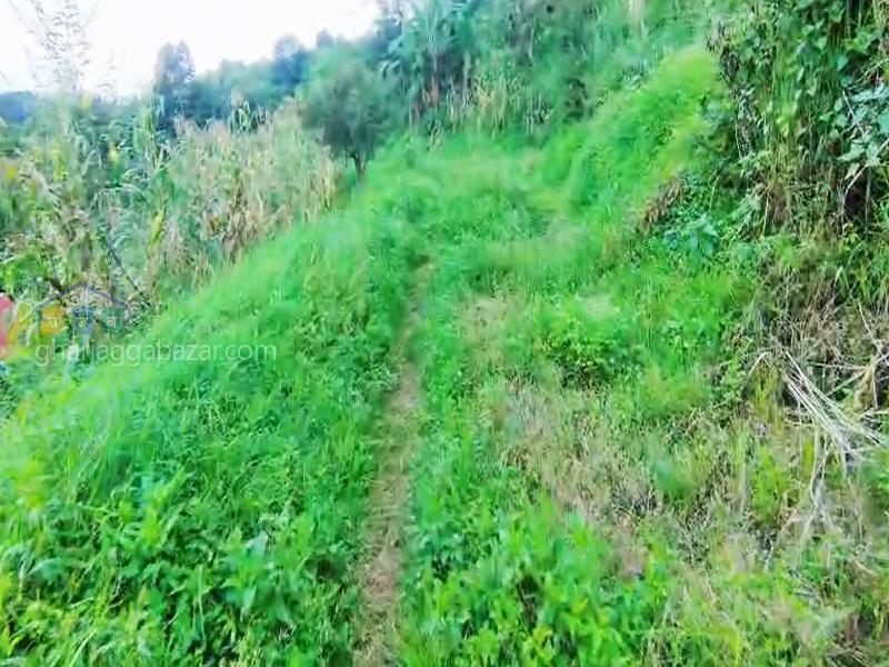 Land for Hotel Resort on Sale at Lakuri Bhanjyang