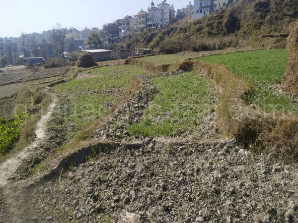 Land on Sale at Hepali Chyasundol
