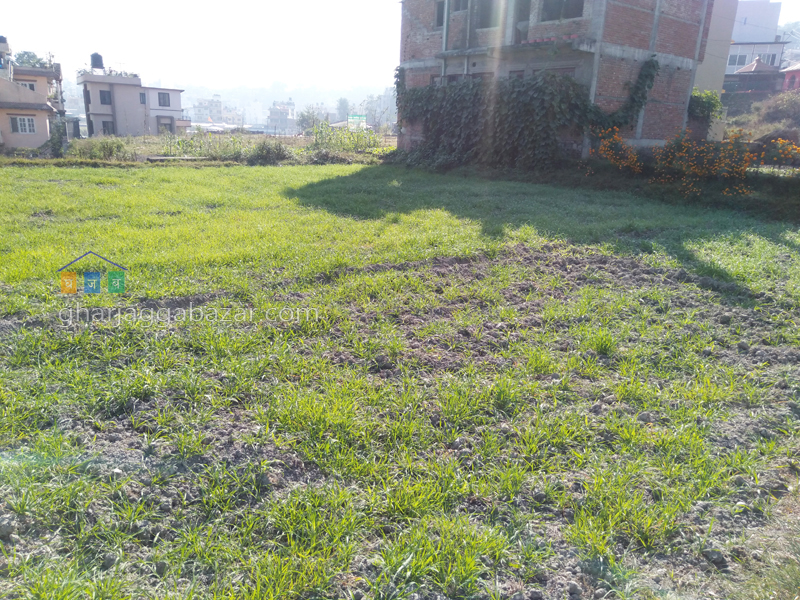 Land on Sale at Khadka Bhadrakali