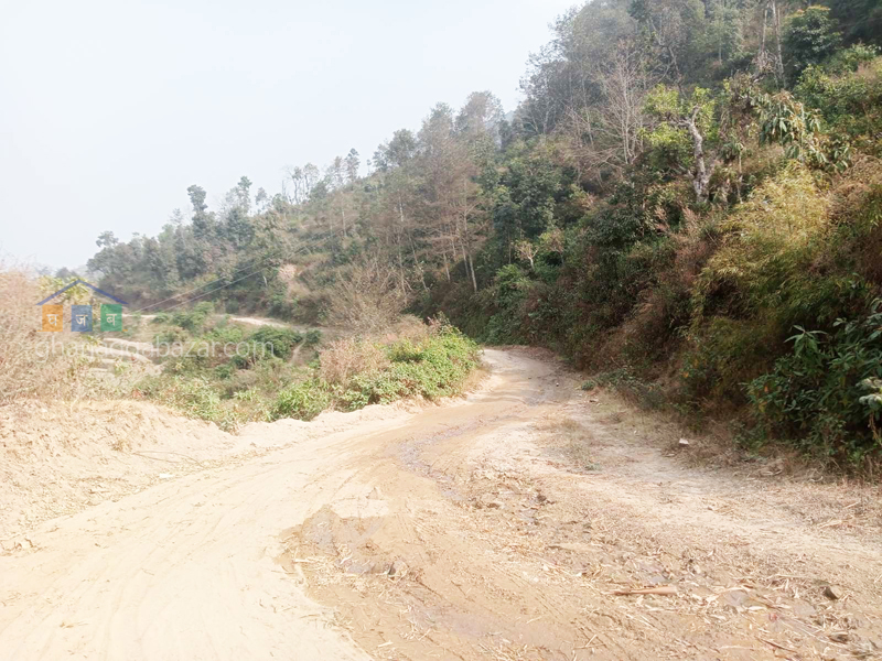 Land for Farming at Nagarkot