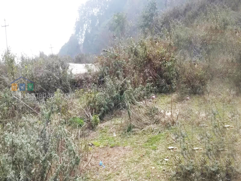 Land for Plotting at Kirtipur Machhegaun