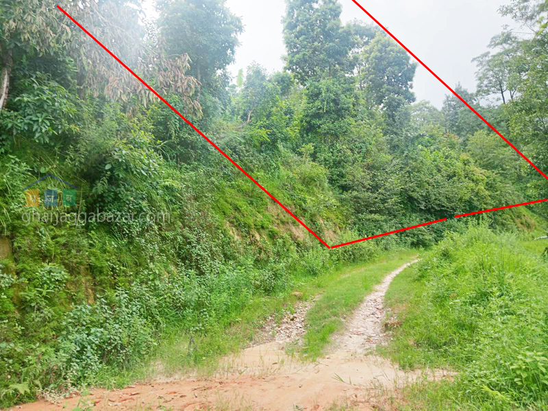 Land on Sale at Banepa Chapleti Opi