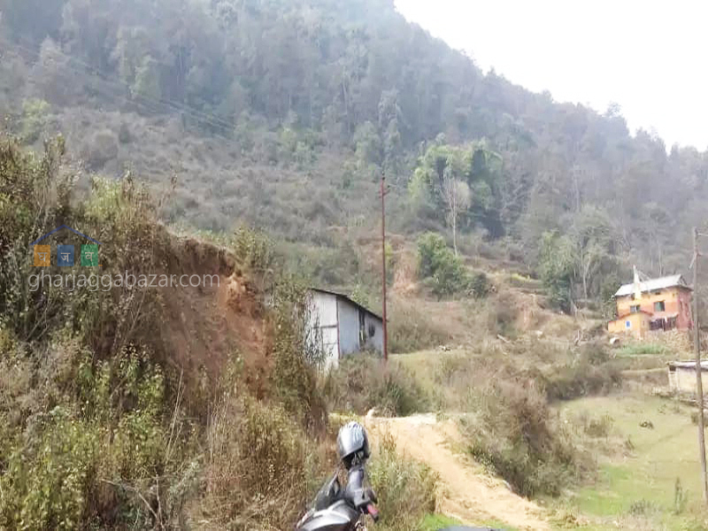 Land for Plotting at Kirtipur Machhegaun