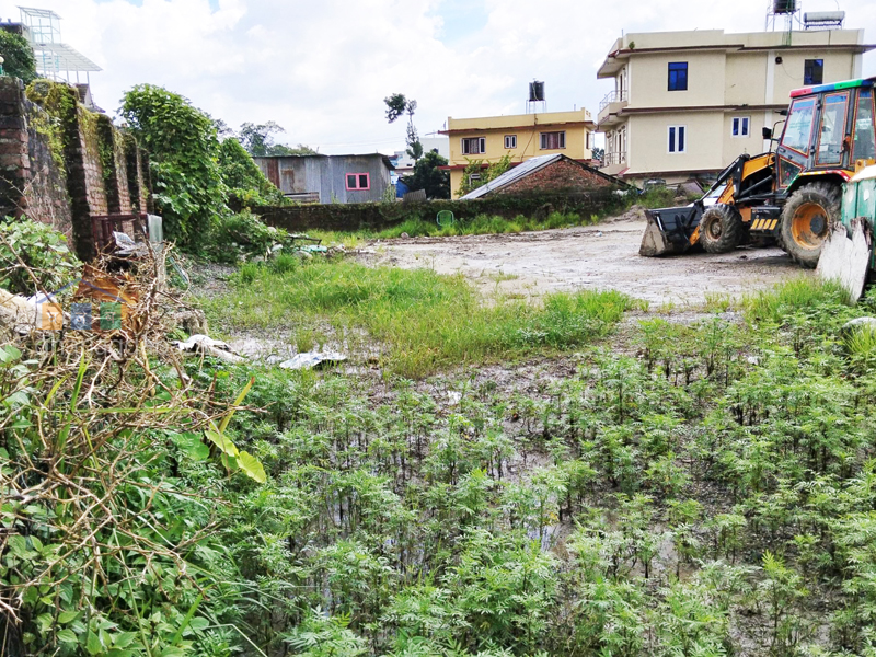 Land on Sale at Arubari Gokarneshwar 
