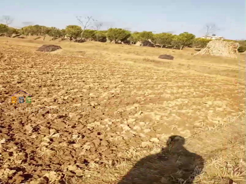 Land for Agriculture at Panauti