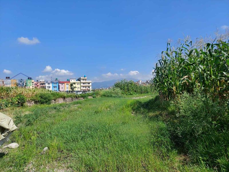 Land on Sale at Nakhu