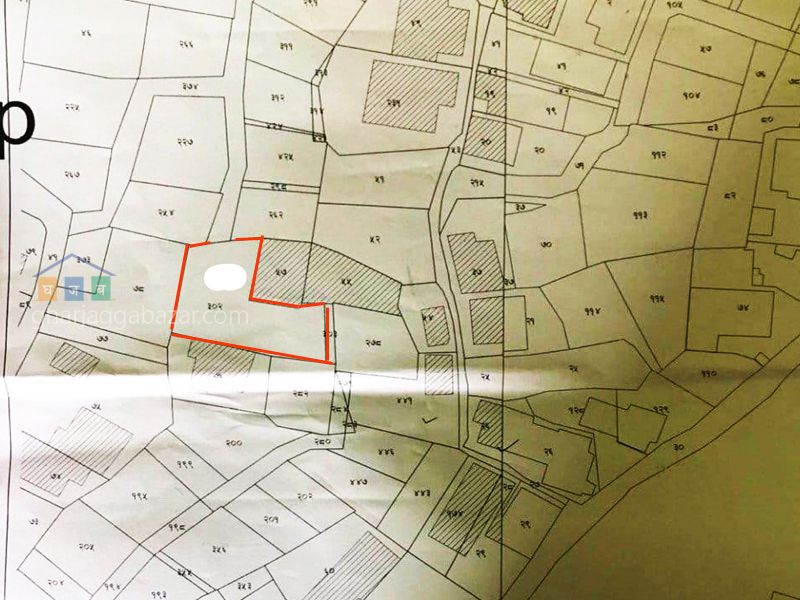 Land on Sale at Maharajgunj