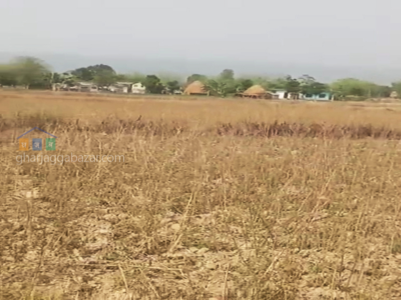 Land on Sale at Madi Kalyanpur