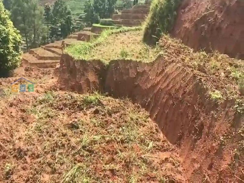 Land for Agriculture at Kholegaun Serabagar