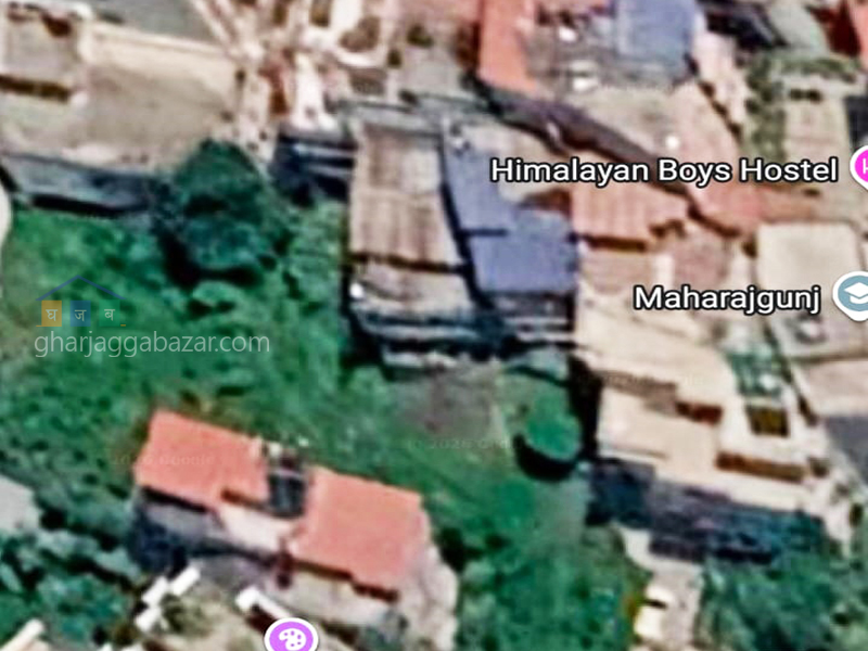 Land on Sale at Maharajgunj