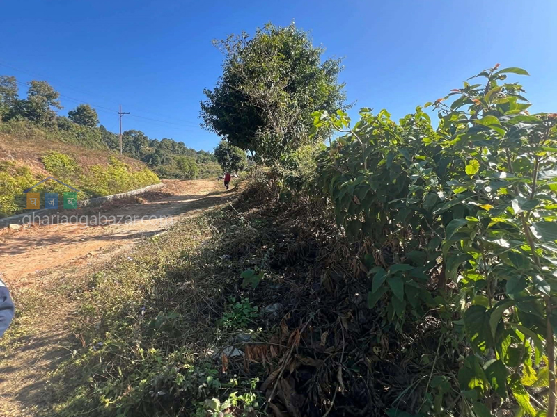 Land on Sale at Pokhara Begnastal