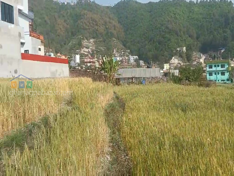 Land for Plotting at Narayanthan Wasik
