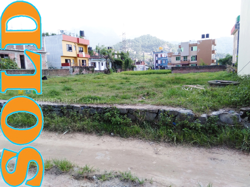 Land on Sale at Chapali Bhangal