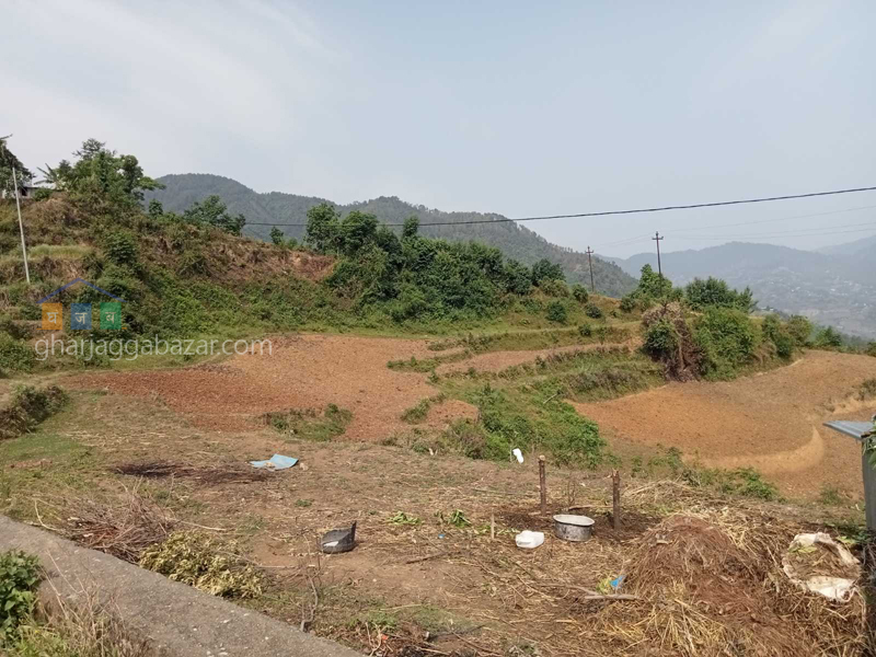 Land on Sale at Chhampi Devi Chaur