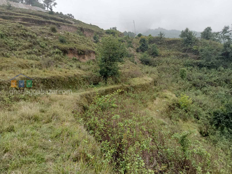 Land on Sale at Kattike Nagarkot