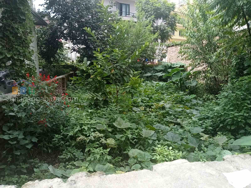 Land on Sale at Ranibari