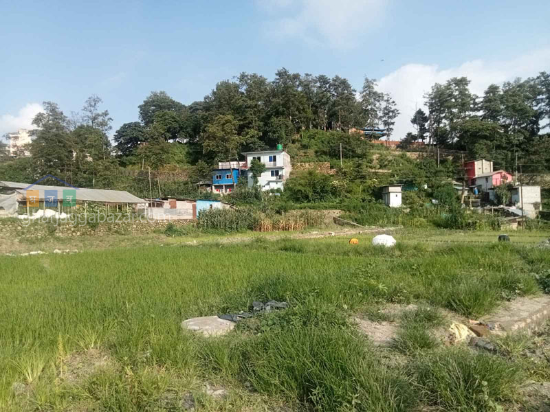 Land on Sale at Tokha Gate