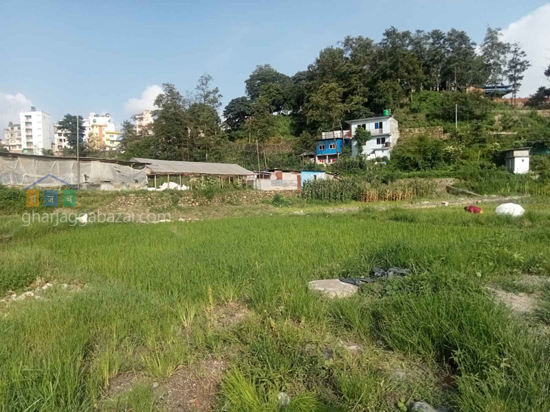Land on Sale at Tokha Gate