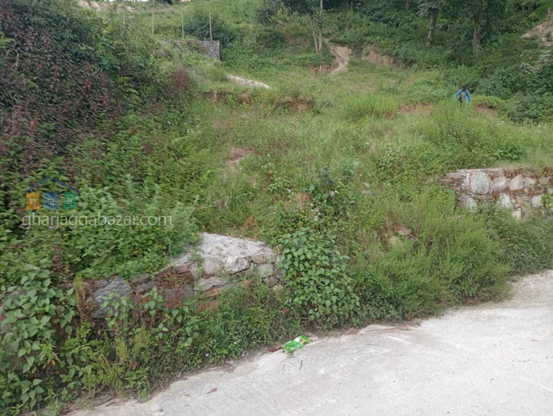 Land on Sale at Narayanthan Height