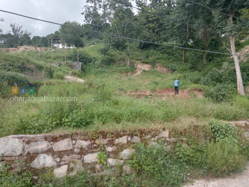 Land on Sale at Narayanthan Height