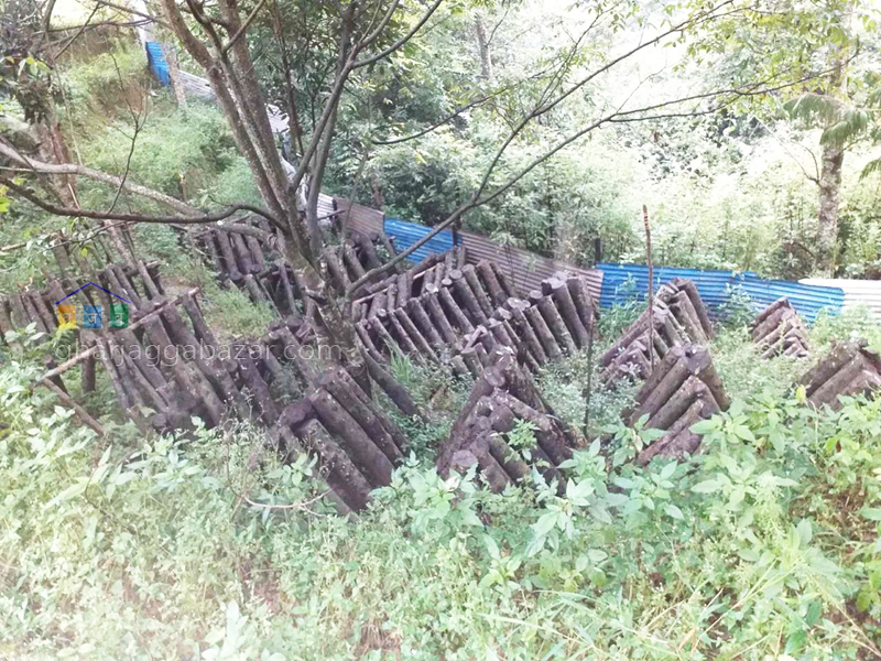 Land on Sale at Jarsing Pauwa Jhule
