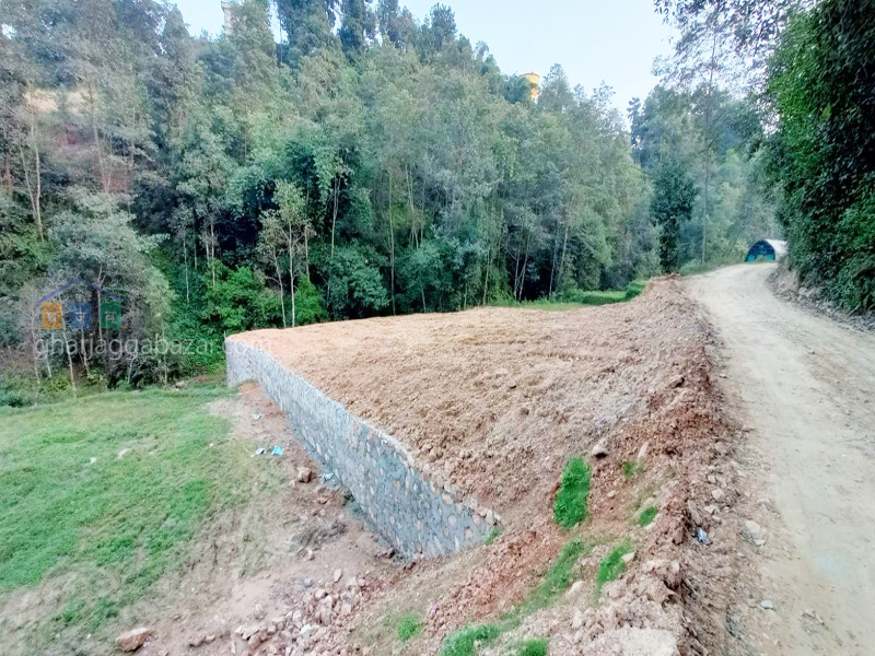 Land on Sale at Chapagaun