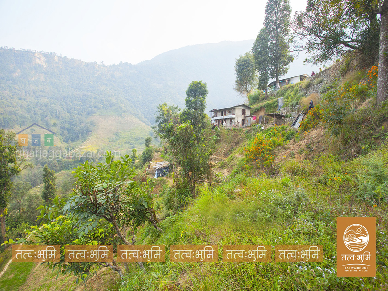Commercial Land on Sale at Kafal Danda Nuwakot