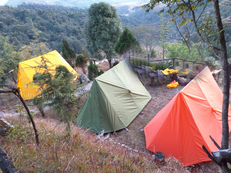 Land on Sale at Jarsing Pauwa Jhule