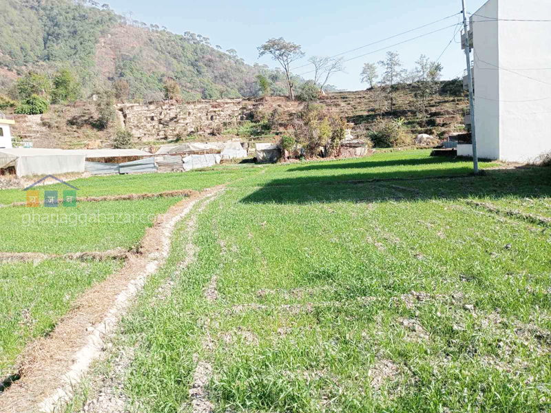 Land for Plotting at Tokha Sapantirtha