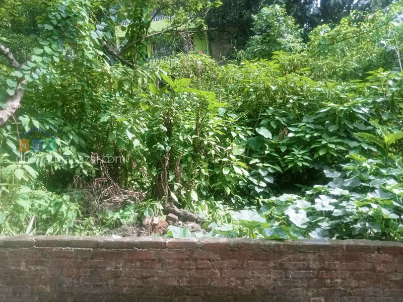 Land on Sale at Dillibazar