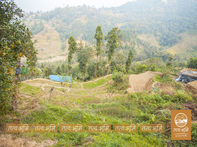 Commercial Land on Sale at Kafal Danda Nuwakot