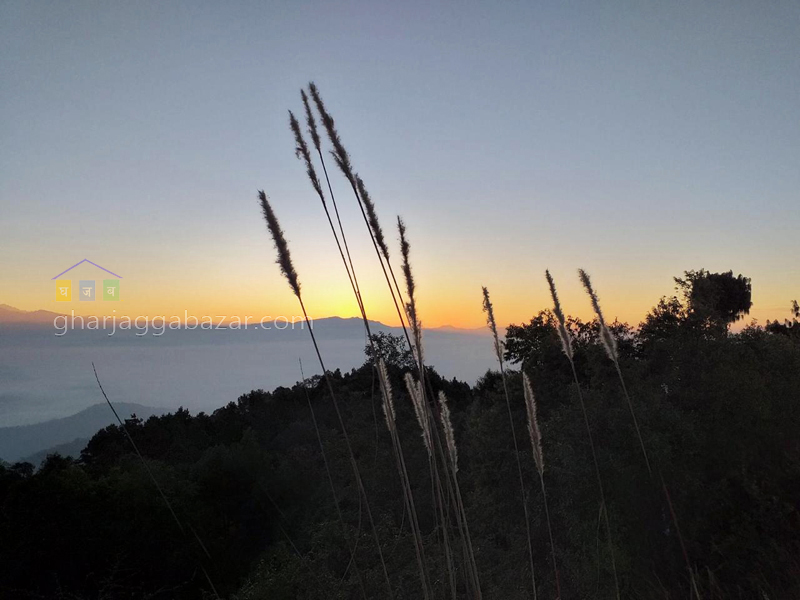 Land on Sale at Jarsing Pauwa Jhule