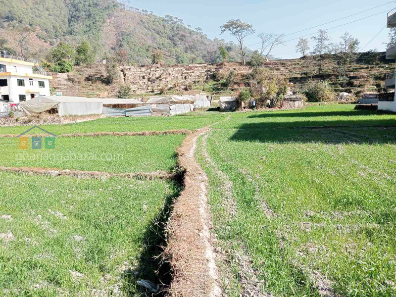 Land for Plotting at Tokha Sapantirtha