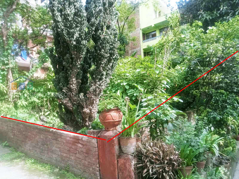 Land on Sale at Dillibazar