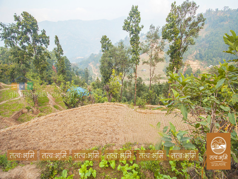 Commercial Land on Sale at Kafal Danda Nuwakot