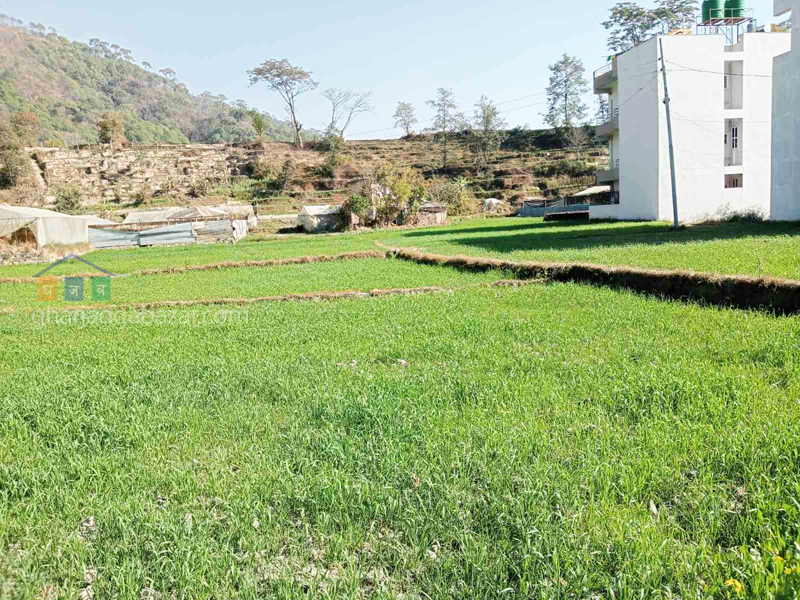 Land for Plotting at Tokha Sapantirtha