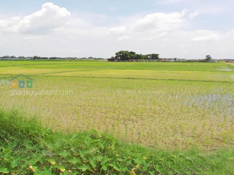 Land on Sale at Biratnagar Lakhantari