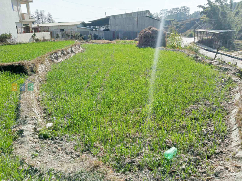 Land for Plotting at Tokha Sapantirtha