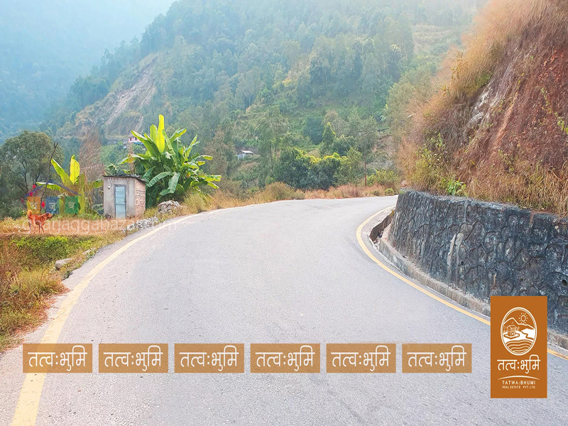 Commercial Land on Sale at Kafal Danda Nuwakot