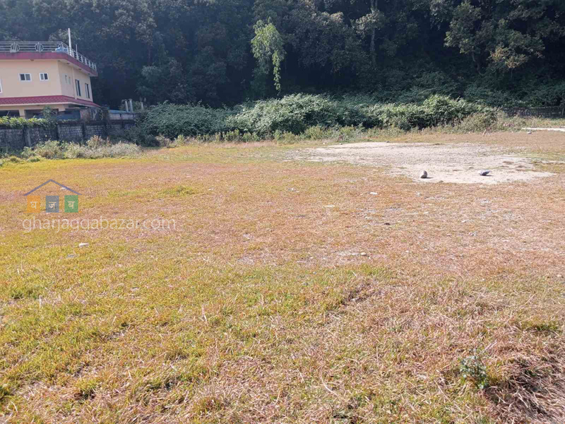 Land on Sale at Naya Gaun