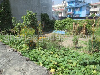 Land on Sale at Jupitartol