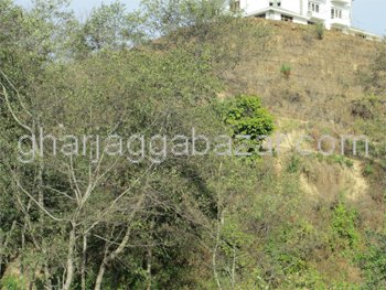 Urban Land on Sale at Nagarkot