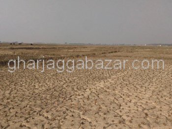 Land on Sale at Lumbini