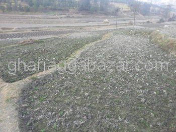 Land on Sale at Batase