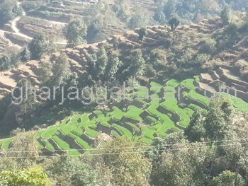 Land on Sale at Sunkhani Thapagaun