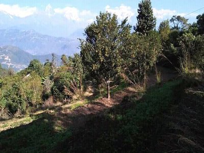 Land on Sale at Bayali
