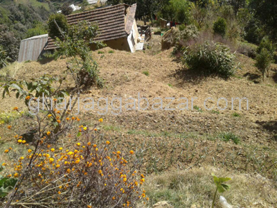 Land on Sale at Ryale Manedovan