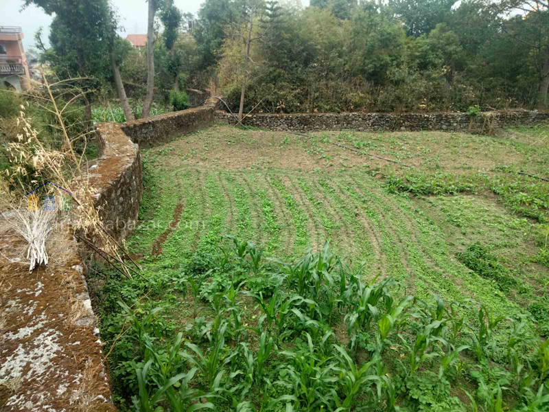 Land on Sale at Narayanthan Height