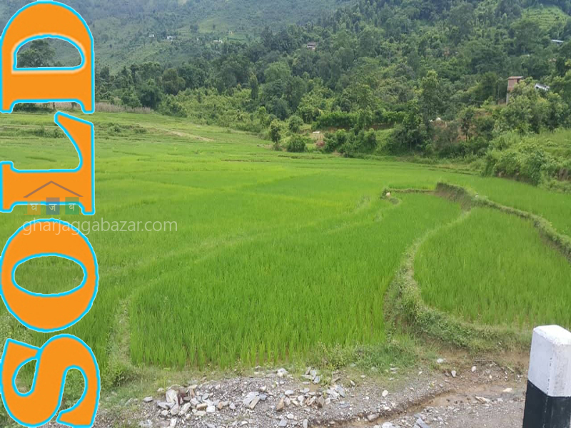 Land on Sale at Bandipur